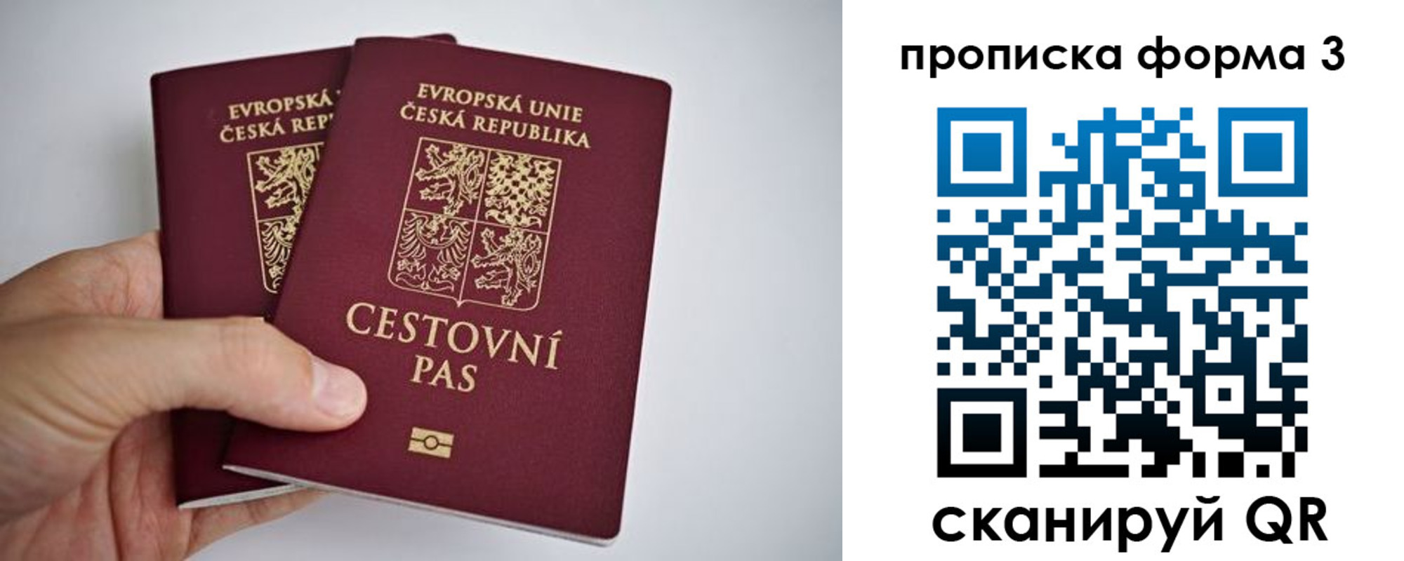 регистрация для школы в Называевске